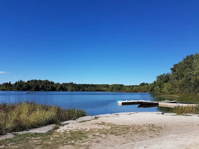 Engagement photography at Heart Lake Conservation Park in Brampton, featuring forest trails and a peaceful lake backdrop.