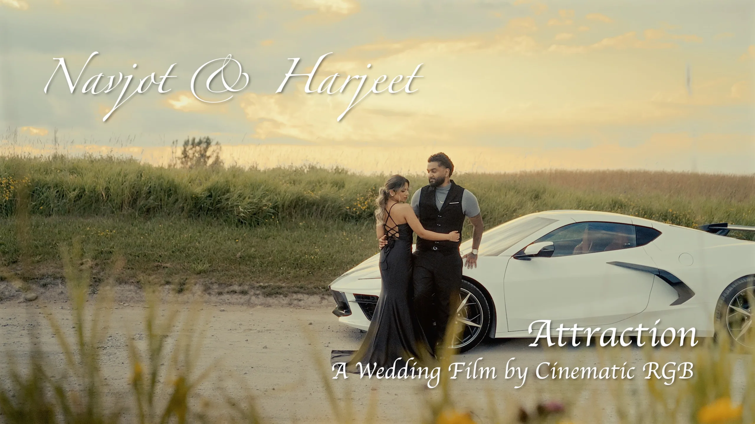 Sikh couple during a cinematic pre-wedding photo and video shoot in Caledon, Brampton, and R.C. Harris Water Treatment Plant in Scarborough