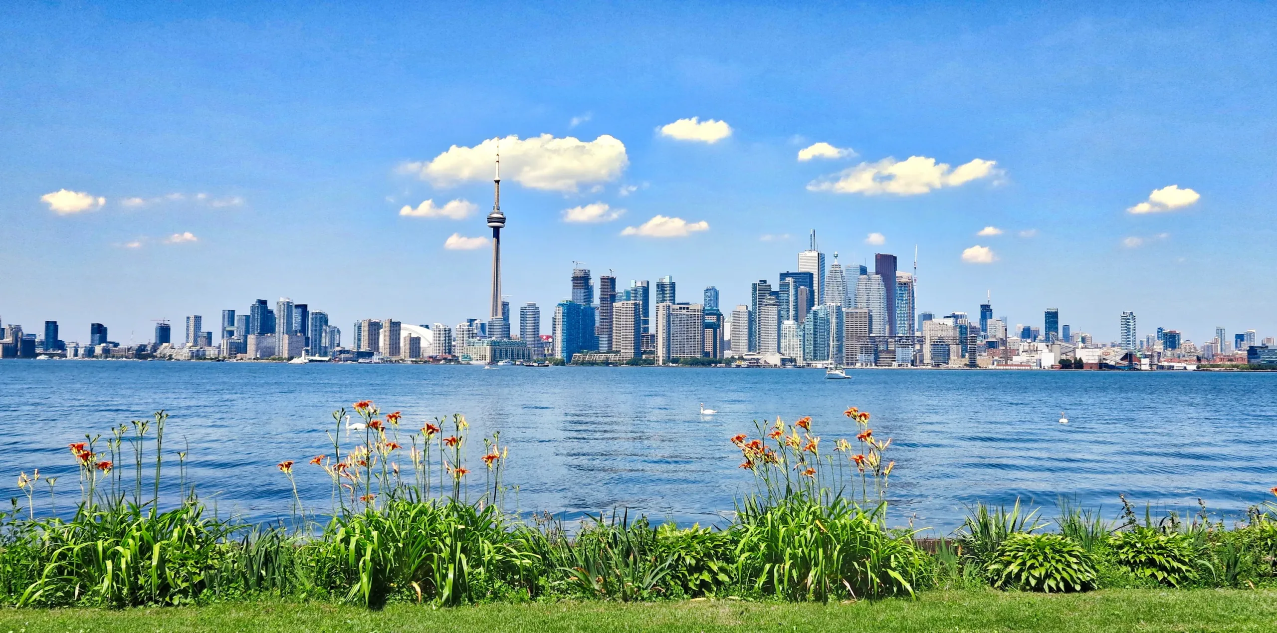 Waterfront engagement photography on the Toronto Islands, featuring the city skyline and unobstructed lake views.